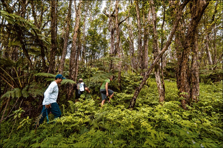 John Lindelow with horticulturalist Dave DeEsch and CREP planner Alex Gerkin at Ahu Lani Sanctuary
